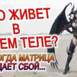 КТО ЖИВЕТ В МОЕМ ТЕЛЕ? ДЕНЬ КОГДА ЧТО-ТО ПОШЛО НЕ ТАК, ОБРУШЕНИЕ МАТРИЦЫ!