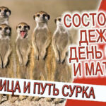 Состояние Дежавю, день сурка и Матрица бессознательности!