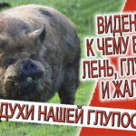 Видение - Духи из прошлого, к чему ведут лень, глупость и жалость!