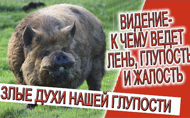 Видение — Духи из прошлого, к чему ведут лень, глупость и жалость!