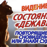 ВИДЕНИЕ - СОСТОЯНИЕ "ДЕЖАВЮ" ИЛИ ПОВТОРЯЮЩИЕСЯ СНОВИДЕНИЯ!